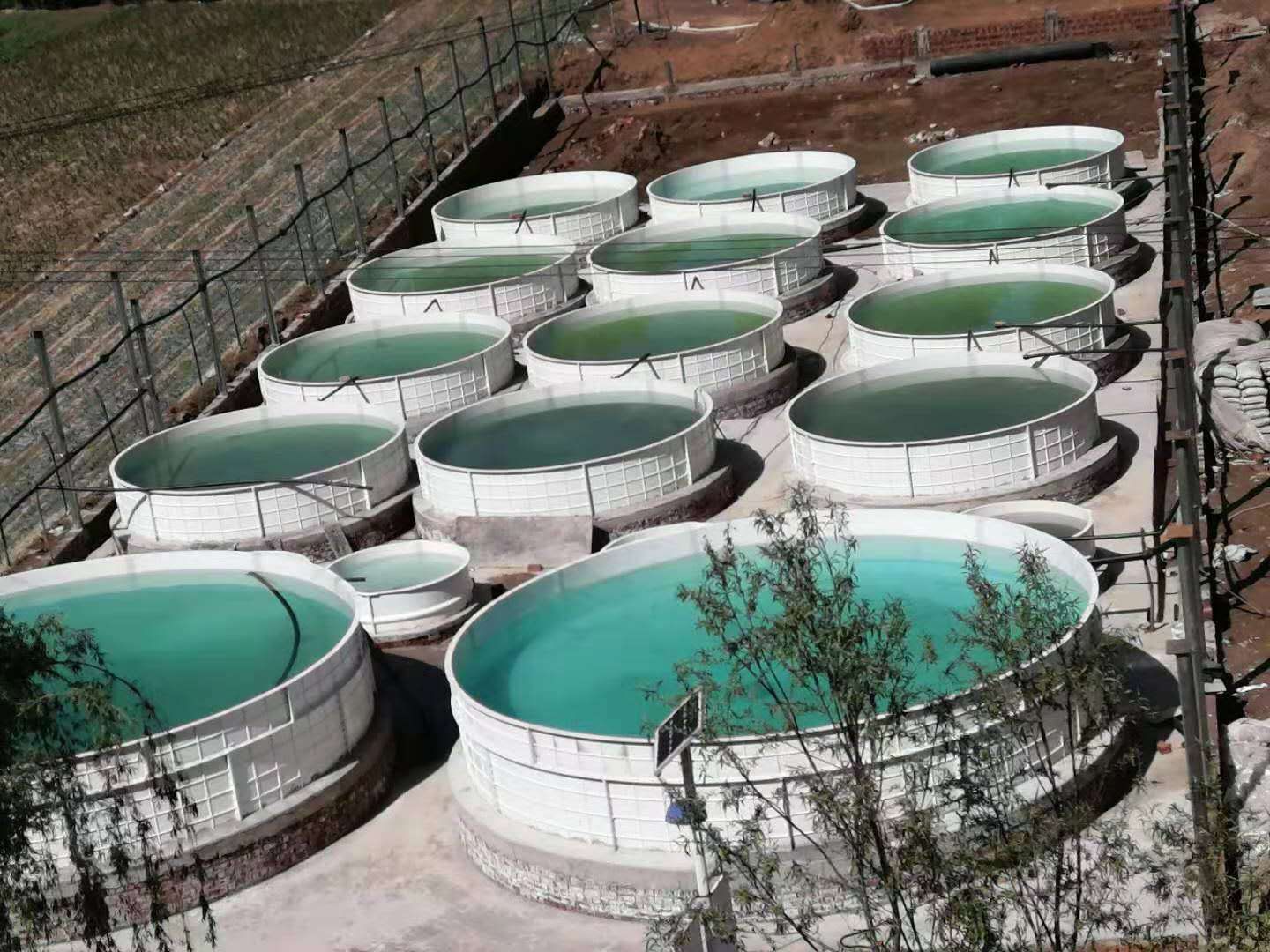 菜魚共生環(huán)保養(yǎng)魚池